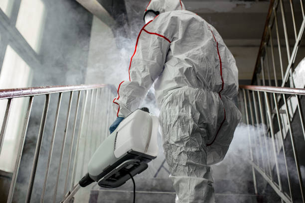 Best Mold Damage Restoration  in Whittingham, NJ